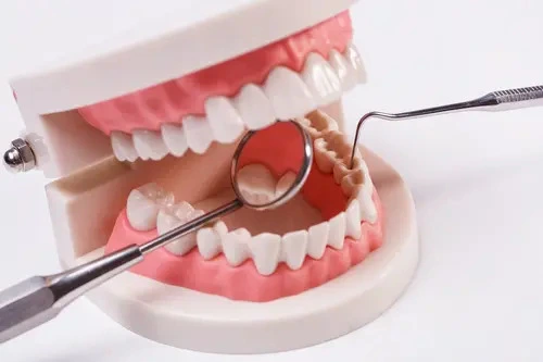 Periodontoloji tedavisi nasıl olur?